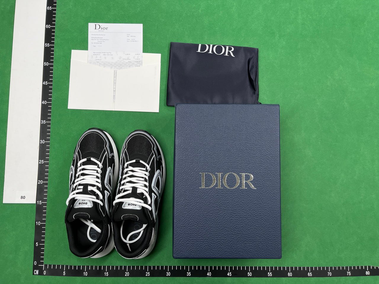 DIOR B22