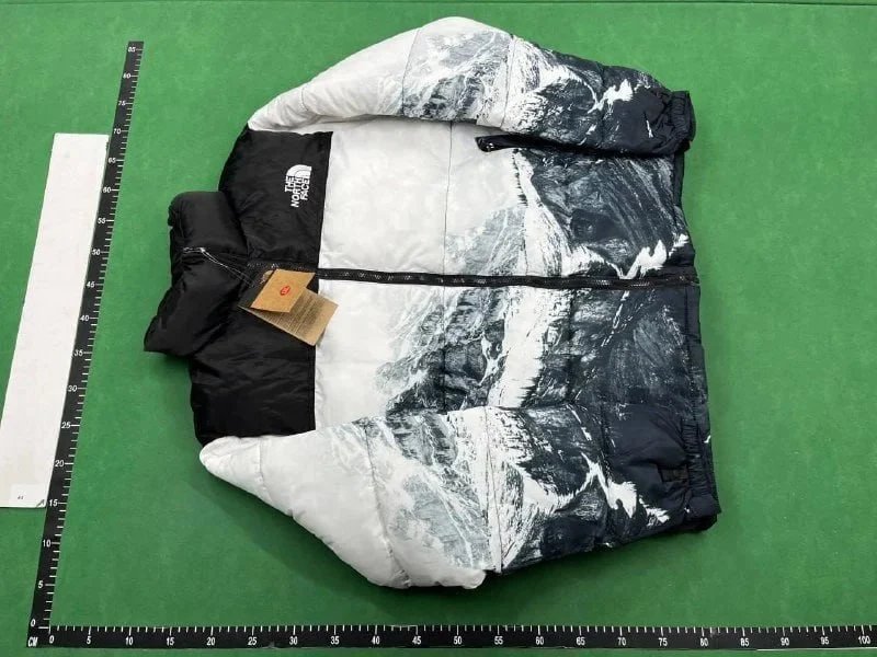 The North Face jacket