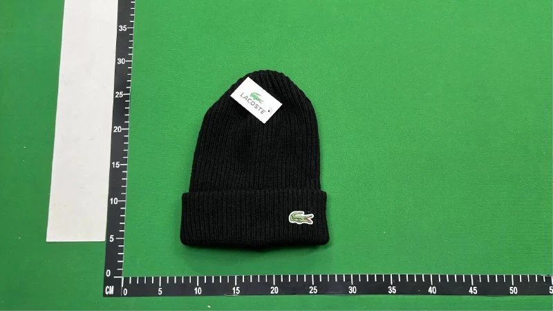 Lacoste Beanie（36+ Styles）