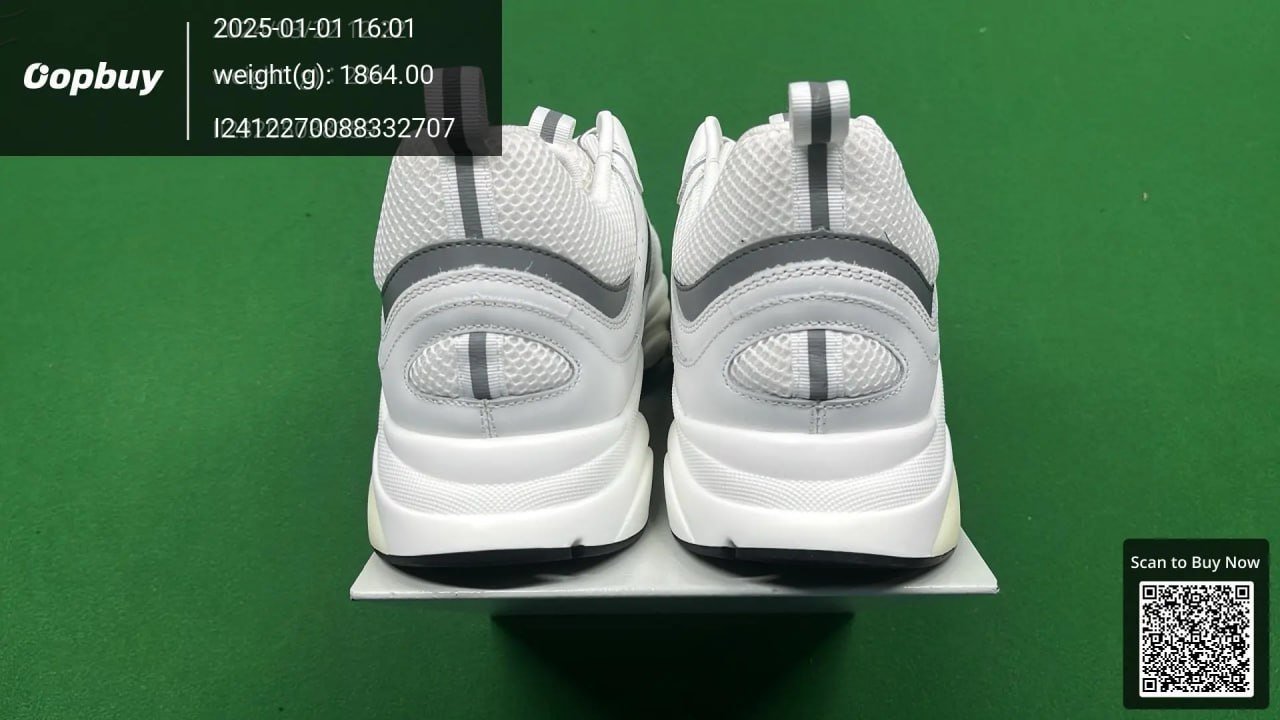 Dior B22 Sneakers Shoes