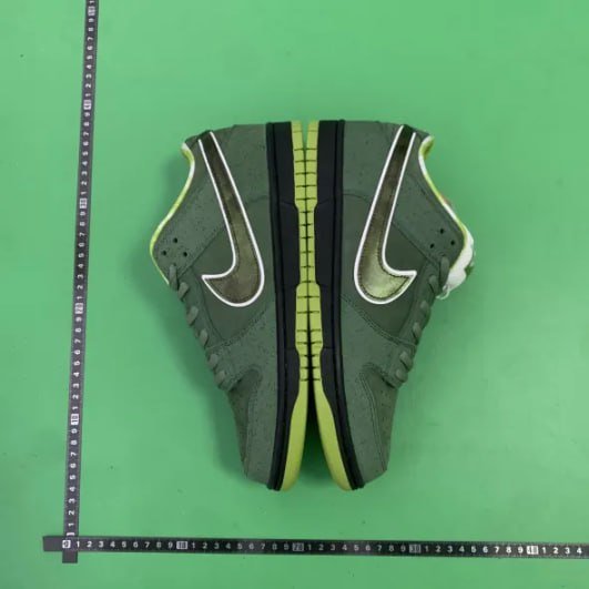 CONCEPTS x Nike Dunk SB 