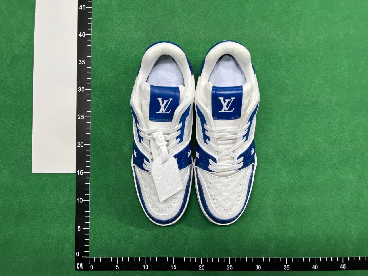 FS-LV Trainer